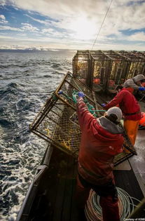 有一个圆盘上面有一圈鱼钩是什么钩