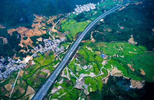 翠花修仙记，翠屏山路