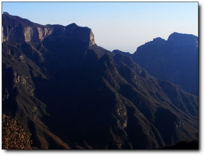 雄奇的近义词是什么