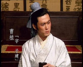 陈王昔时宴平乐斗酒十千恣欢谑什么意思，陈王廷