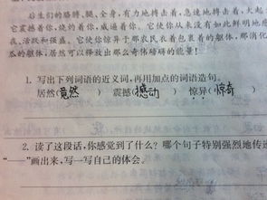 惊奇造句一年级，惊奇造句二年级下册语文