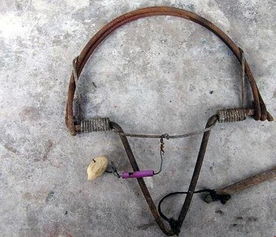 滚钩图片，滚钩捕鱼原理