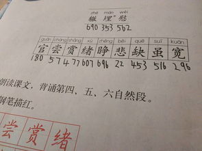 埋组词组词语