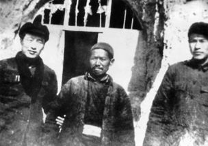 《回延安》的主旨是什么?