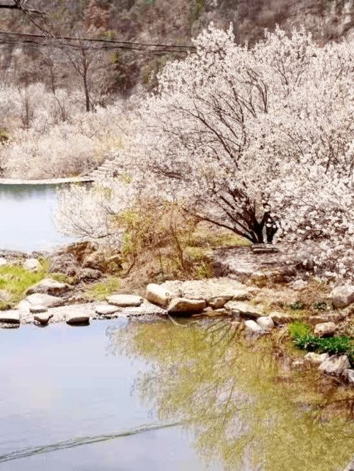 错落有致的什么填空，错落有致的意思简单的说一下