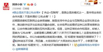 公私合营是什么意思?