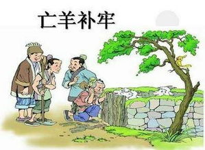 亡羊补牢的亡字的意思是什么