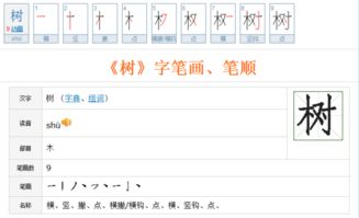树的笔顺组词，树的笔顺结构