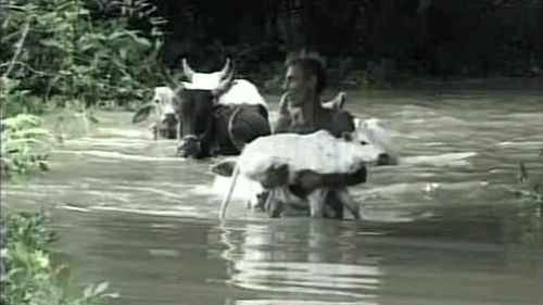肆虐的拼音，肆虐韩娱无删减完整版