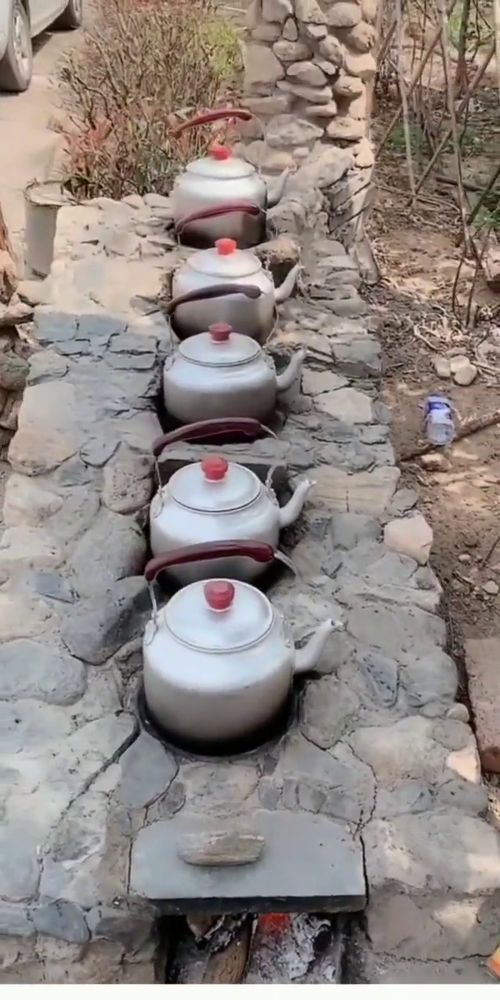 “哪壶不提提哪壶”是什么意思?