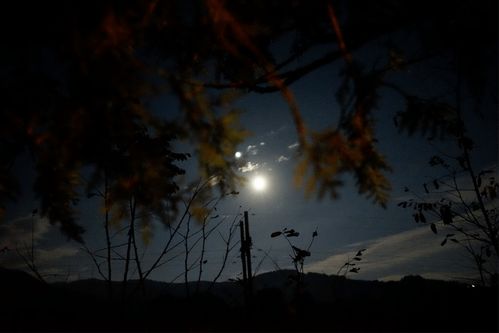 抖落的意思