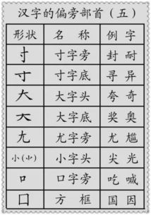 也的部首是什么