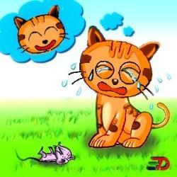猫哭老鼠是什么意思