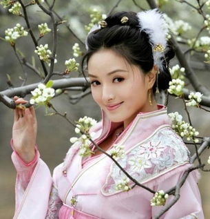 天仙公主小说txt全集免费下载