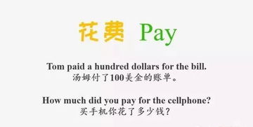 pay的意思