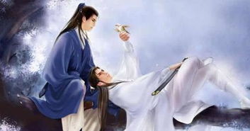 古代所说的断袖是什么意思，古代男子断袖是什么意思