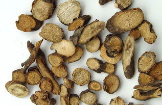 赤芍是什么用途?