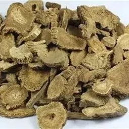 广木香和木香的区别，广木香泡酒对鱼有吸引力吗