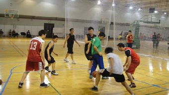 争夺的解释争夺的解释是什么