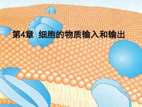 贴在窗户上外边看不见的纸叫什么