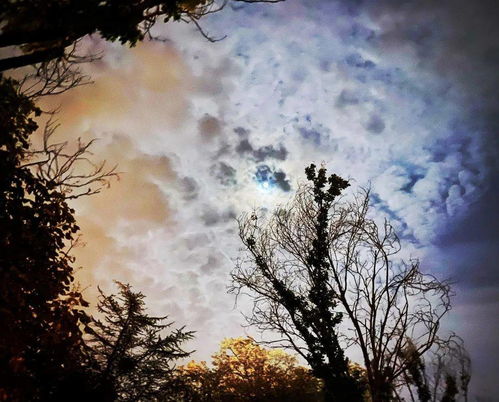 什么样的鹅卵石填空