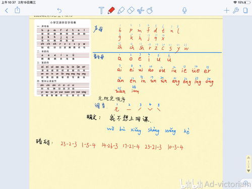 “一只”怎么读?