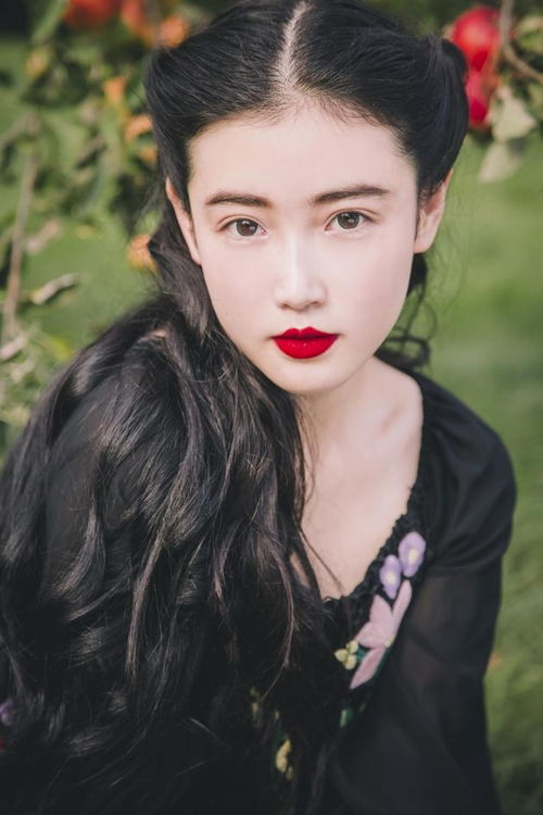 张辛苑照片，张辛苑现状