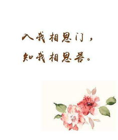 入我相思门,知我相思苦!什么意思