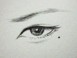 睛字组词有哪些?