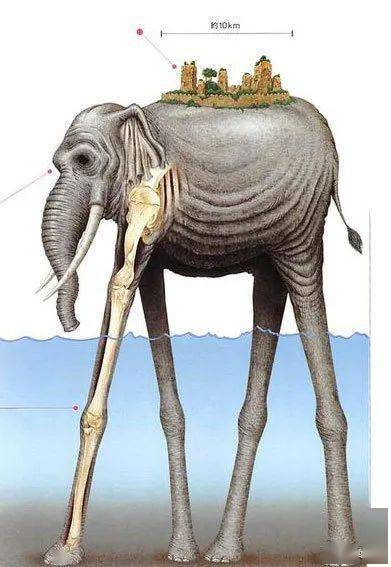 象主犯了什么错，象主为什么去和之国