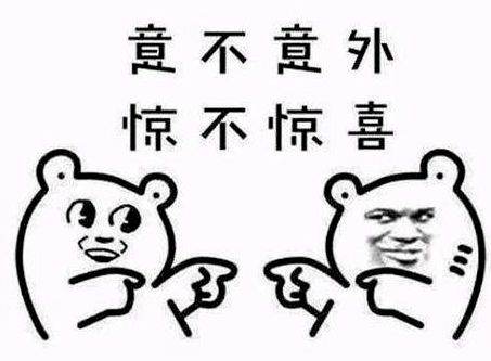 果不其然的意思