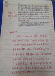 看花灯作文400字