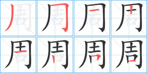 周字的笔顺怎么写