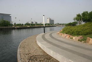 温岭城市代码是啥