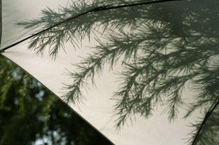 清闲自在什么意思