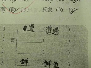 曹组词有哪些