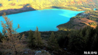 我的心曾乘着风啊是哪首歌的词