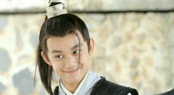 在琅琊榜中飞流的结局是什么?