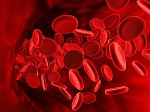 梦见血是啥意思周公解梦