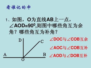 互余 是什么意思