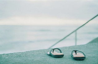 back怎么读英语 back英文解释