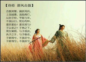 偕的意思和组词，偕数友中偕的意思