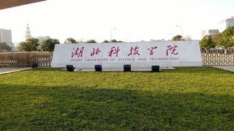 湖北科技学院是几本?是一本、二本还是三本?，湖北科技学院2022录取分数线