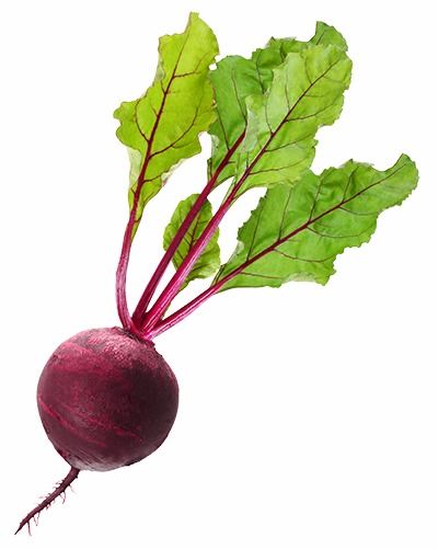 beet怎么读