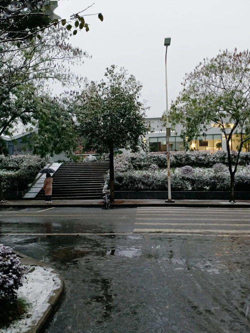 “铁马冰河入梦来”的上一句是什么?