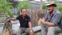 drain是什么意思