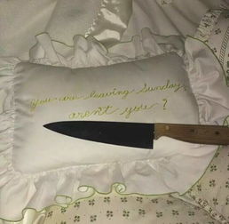 枕头用英语怎么读?
