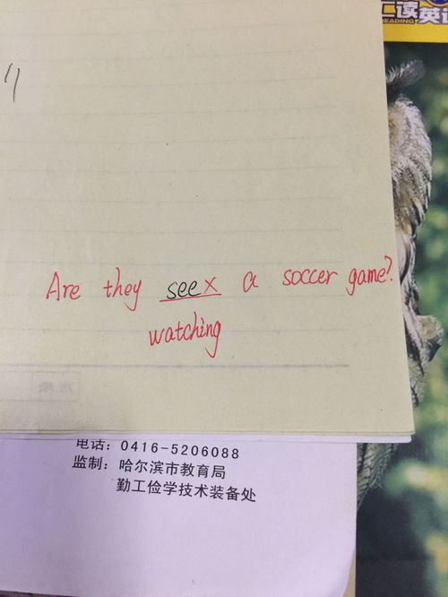 “see”用英语怎么读?