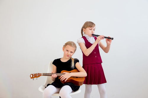 求歌词:森林狂想曲