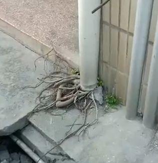 落水管图片，落水管堵塞怎么疏通